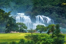 Le géoparc mondial Non Nuoc, la mine d’or du tourisme de Cao Bang
