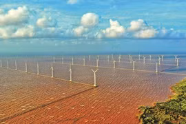 Le Vietnam investit dans des capitaux naturels pour une économie verte