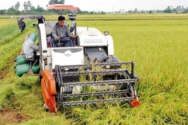 L’agriculture vietnamienne sur le chemin de son intégration