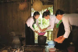 Têt et traditions des Muong à Hoà Binh