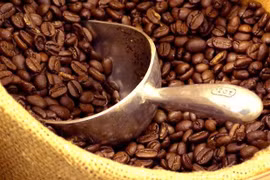 Le café Robusta du Vietnam à la conquête du marché japonais