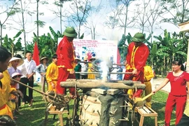 Thanh Hoa développe durablement ses villages de métiers 
