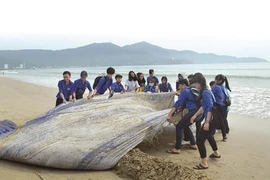 Le Vietnam s’engage à s’associer à la lutte contre les déchets marins 