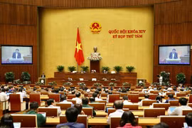 La 19e journée de travail de la 8e session de l’Assemblé nationale 