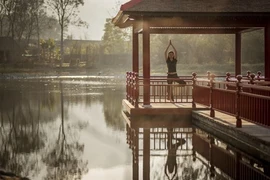 Le tourisme du bien-être en vogue au Vietnam