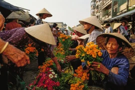 National Geographic publie une photo sur le Vietnam sur sa page Instagram 