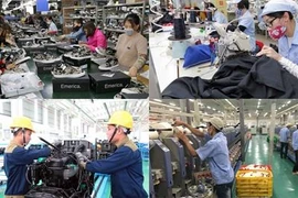 Le VEPR prévoit une croissance vietnamienne de 7,05 % en 2019