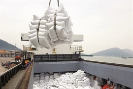 Le riz vietnamien récolte un succès mondial 