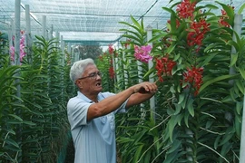 Hô Chi Minh-Ville rehausse l'efficacité du programme d’édification "La nouvelle ruralité"