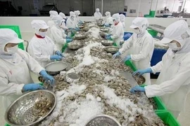 Les exportateurs de crevette bénéficient des droits de douane nuls