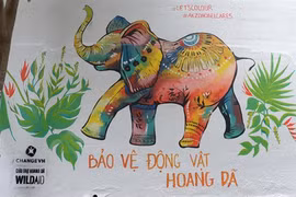  "Voyage d'art sauvage" pour la protection des animaux