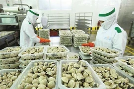 Le CPTPP profite encore peu au Vietnam