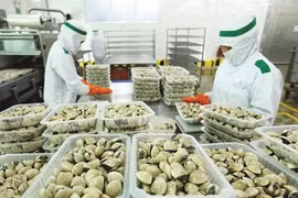 Le CPTPP profite encore peu au Vietnam