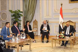 Le Secrétaire du Comité central du Parti en visite en Egypte