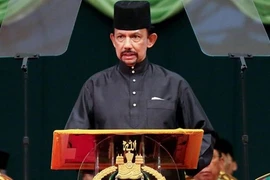 Le sultan du Brunei effectuera une visite d'État au Vietnam