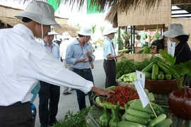 Expansion des superficies de production agricole high-tech à Hô Chi Minh-Ville