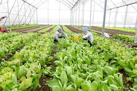 Sciences et technologies pour une agriculture moderne