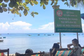 Dans le Centre, Cù Lao Chàm fait mûrir les idées vertes