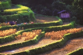 La nouvelle ruralité métamorphose la région montagneuse du Nord
