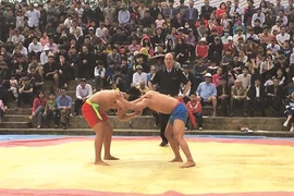 La lutte libre, une particularité du Têt à Hanoi