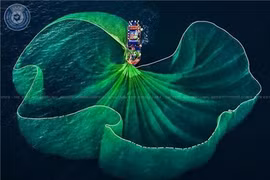 Le Vietnam remporte 26 prix au 10e concours international de photos d’art