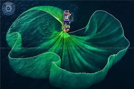 Le Vietnam remporte 26 prix au 10e concours international de photos d’art