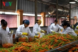 Agriculture: coopération entre les producteurs et les transformateurs