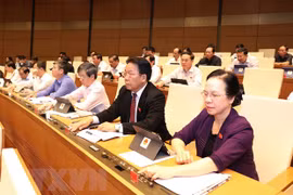 AN : adoption de la Résolution sur le Plan de développement socio-économique en 2020