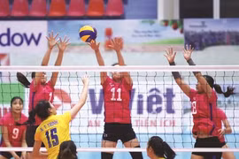  Volley-ball: émergence de la génération 9X