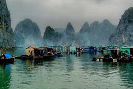 De nouvelles sirènes de la baie de Ha Long