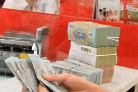 Les réserves de change atteignent un niveau record