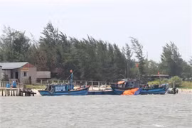 Une dépression tropicale pourra se transformer en tempête