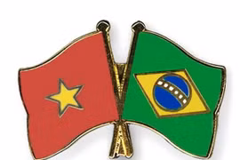 Célébration des 30 ans des relations Vietnam-Brésil à Brasilia
