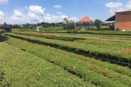 Bientôt le Forum de connexion touristique entre la Hô Chi Minh-Ville et le delta du Mékong
