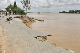 Le delta du Mékong pourrait disparaître sous les eaux en 2100