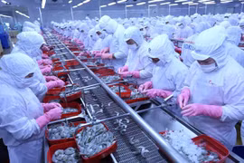 Le Vietnam enregistre un excédent commercial avec le Canada