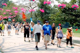 Le Vietnam accueille près de 7,3 millions de touristes étrangers en cinq mois