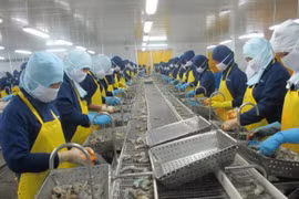 Les Etats-Unis, 2e débouché des crevettes du Vietnam