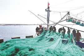 Pêche INN: le Vietnam s’emploie à retrouver la carte verte