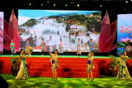 Clôture du 5e festival d'échange culturel entre le Vietnam et le Japon 