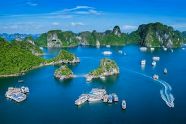 Quang Ninh développe son tourisme sur les réseaux sociaux