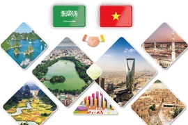 Promouvoir les relations de coopération Vietnam-Arabie saoudite 