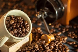 Au premier trimestre dernier, le Vietnam a exporté près de 600.000 tonnes de café pour un chiffre d'affaires d'environ 1,9 milliard de dollars. Photo : nhandan.vn