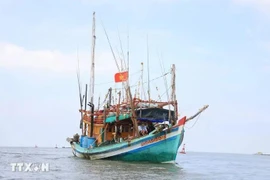 En sept ans de lutte contre la pêche INN, les organes compétents ont déployé des efforts importants. Photo : VNA