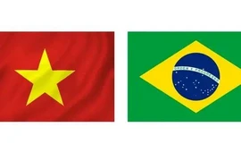 Le Vietnam et le Brésil ont officiellement établi des relations diplomatiques le 8 mai 1989. Photo : VietnamPlus