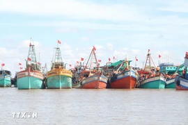 Bac Lieu considère la lutte contre la pêche INN comme une tâche importante à long terme pour le développement durable du secteur de la pêche. Photo : VNA