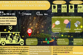 Le Parc national de Cuc Phuong lance les visites nocturnes