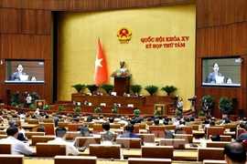 Selon l’agenda de la 8e session de la 15e Assemblée nationale, les députés discutent du projet de loi sur l'investissement public (modifié) dans la matinée du 6 novembre. Photo : VNA