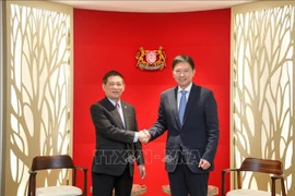Le ministre vietnamien des Finances Ho Duc Phoc (gauche) rencontre Chee Hong Tat, deuxième ministre des Finances de Singapour. Photo : VNA