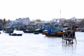 La province de Binh Thuan (Centre) poursuivra des efforts et est déterminée à se joindre à l'ensemble du pays pour faire retirer le "carton jaune" imposé par la Commission européenne (CE) sur les produits halieutiques vietnamiens. Photo ; VNA